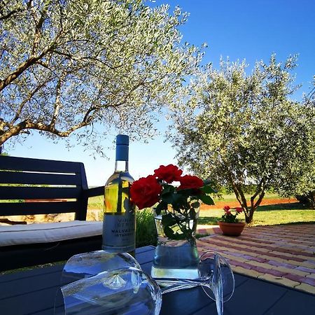 Apartment Ulika Marčana المظهر الخارجي الصورة