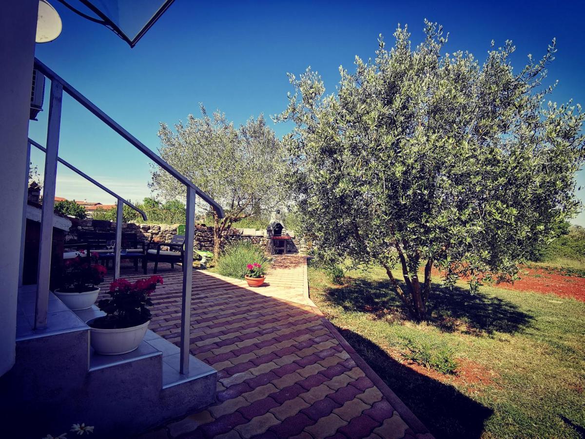 Apartment Ulika Marčana المظهر الخارجي الصورة
